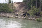resIMG_20170716_173434_8740.JPG